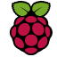 raspberrypi icon